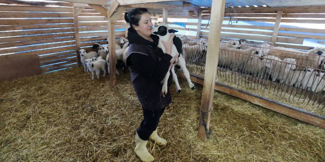 Şehirden sıkıldı köye kaçtı: 85 hayvanıyla ekonomiye katkı sağlıyor 4